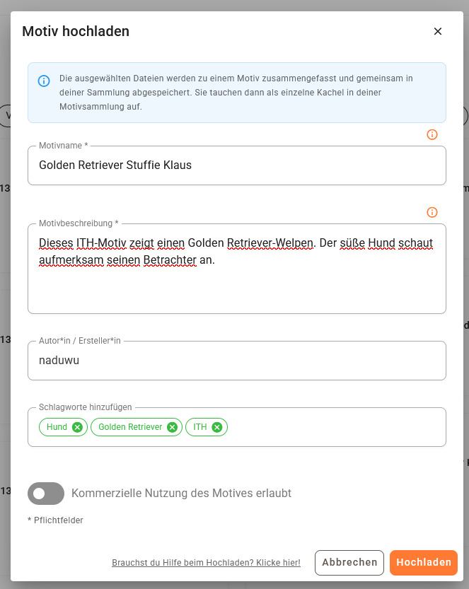 Name, Beschreibung, Designer und Schlagworte eingeben