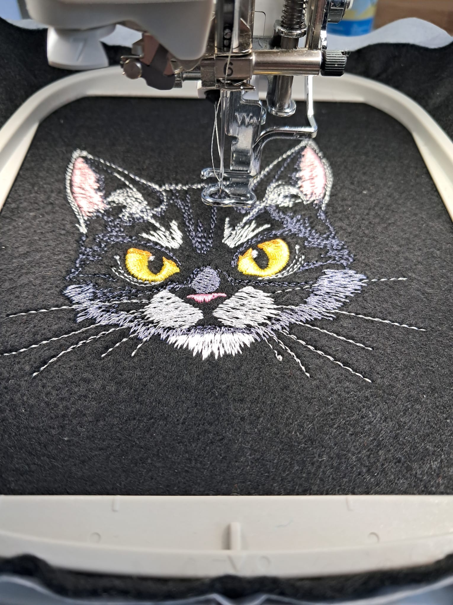 Stickmotiv Katze grumpy Lichteffekt eingespannt in Stickrahmen