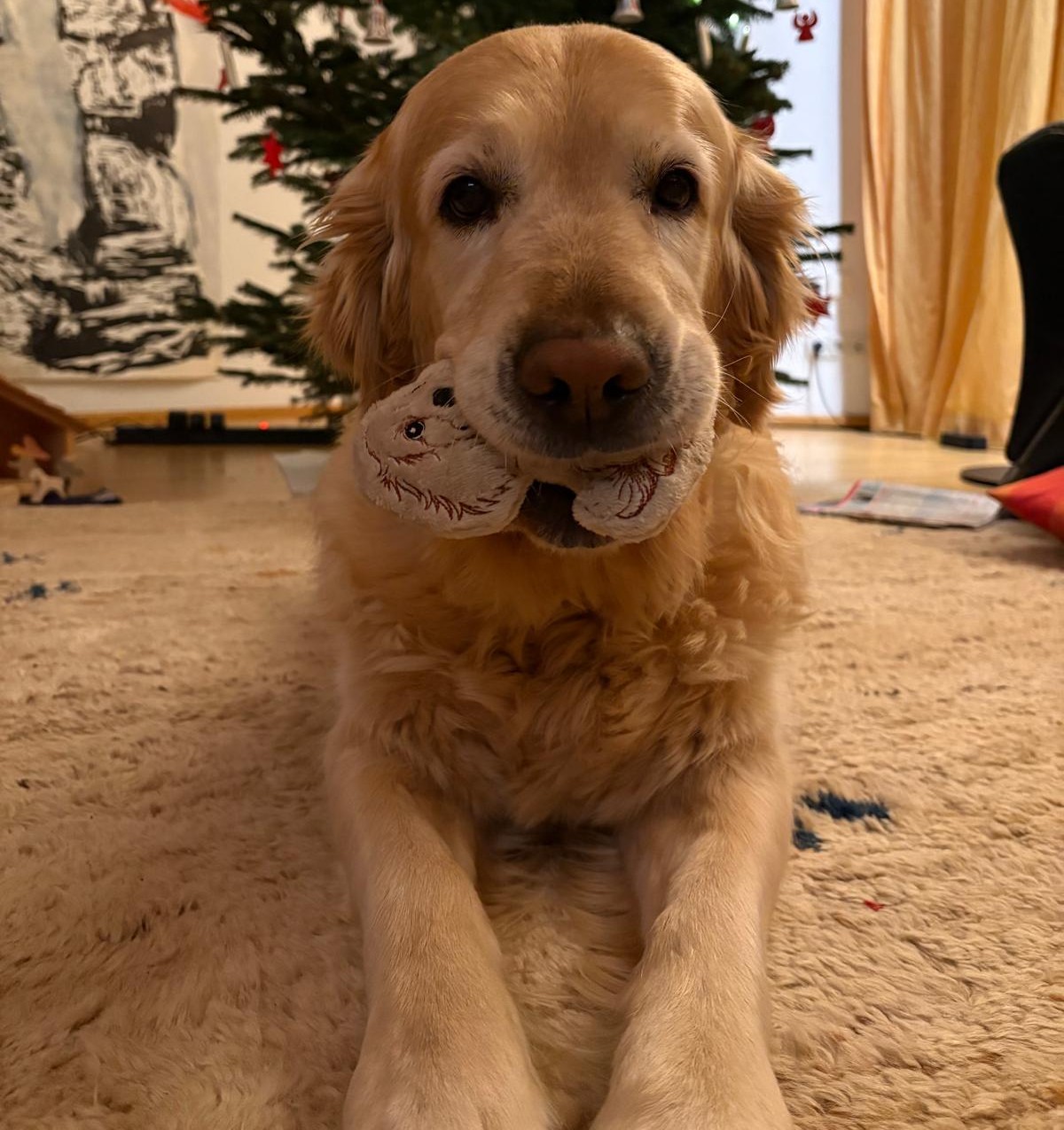 Embroidery File of the Month January 2026: ITH Stuffie Goldie Klaus tested by dogs